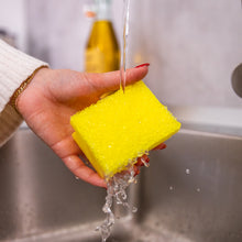 Kép betöltése a galériamegjelenítőbe: Scrub Basics mosogatószivacs