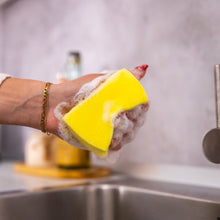 Kép betöltése a galériamegjelenítőbe: Scrub Basics mosogatószivacs