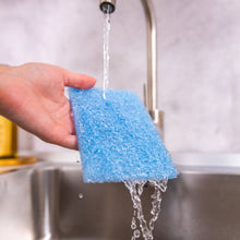 Kép betöltése a galériamegjelenítőbe: Scrub Basics FlexTexture súrolópárnák