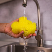 Kép betöltése a galériamegjelenítőbe: Scrub Daddy® Special Edition Disney - Mickey Egér
