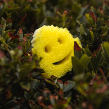 Kép betöltése a galériamegjelenítőbe: Scrub Mommy Special Edition - Falevél