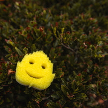 Kép betöltése a galériamegjelenítőbe: Scrub Mommy Special Edition - Falevél