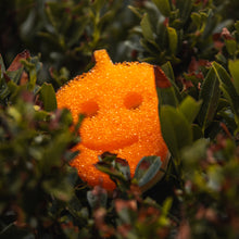 Kép betöltése a galériamegjelenítőbe: Scrub Mommy Special Edition - Makk