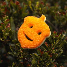 Kép betöltése a galériamegjelenítőbe: Scrub Mommy Special Edition - Makk