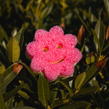 Kép betöltése a galériamegjelenítőbe: Scrub Mommy Power Flower pink (1 db)
